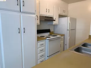 Photo #1: 41046782 Listing