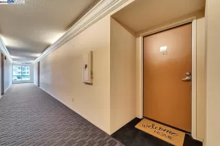 Photo #1: 41046886 Listing