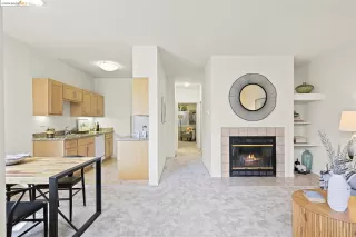 Photo #5: 41046900 Listing