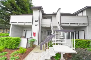 Photo #1: 41047018 Listing