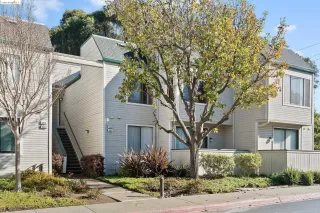 Photo #1: 41047035 Listing