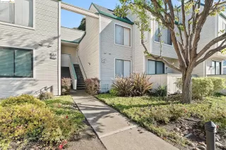 Photo #2: 41047035 Listing