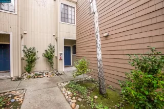 Photo #2: 41048004 Listing