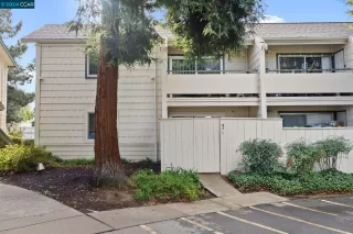 Photo #1: 41048106 Listing