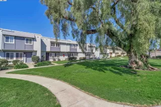 Photo #1: 41048113 Listing 