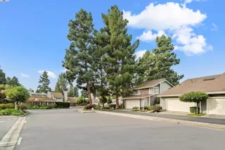 Photo #2: 41048134 Listing