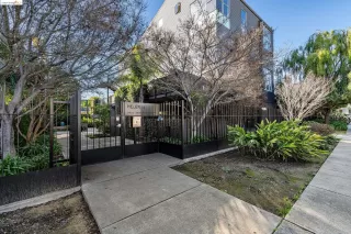 Photo #1: 41048495 Listing