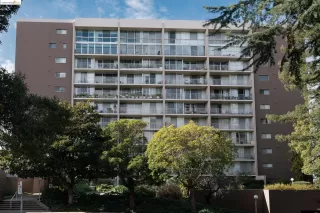 Photo #1: 41048498 Listing