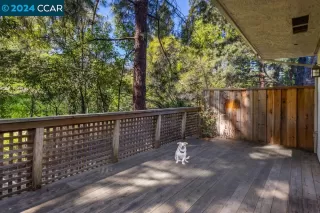 Photo #2: 41048654 Listing