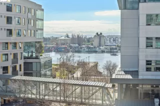 Photo #2: 41049102 Listing