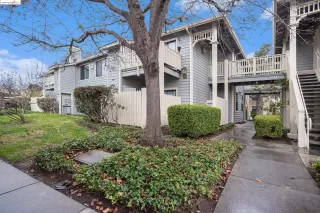 Photo #1: 41049177 Listing