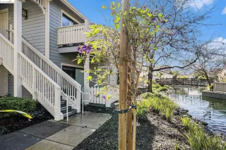 Photo #3: 41049177 Listing