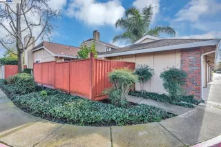 Photo #1: 41049259 Listing