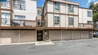 Photo #1: 41049260 Listing 