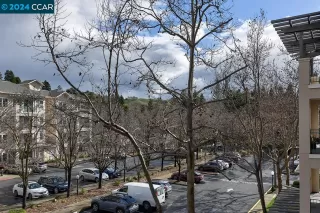 Photo #6: 41049373 Listing