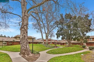 Photo #1: 41049448 Listing 