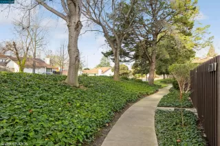 Photo #1: 41049793 Listing