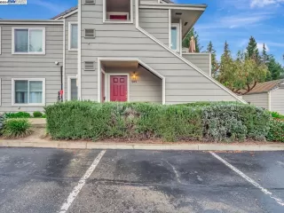 Photo #1: 41049856 Listing