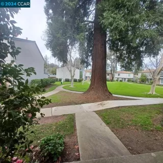 Photo #1: 41049897 Listing