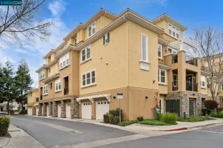 Photo #1: 41050076 Listing 