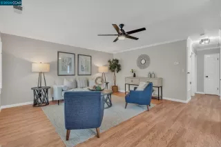 Photo #5: 41050093 Listing