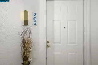 Photo #1: 41050325 Listing