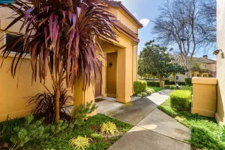 Photo #1: 41050356 Listing