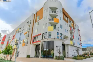 Photo #1: 41050420 Listing 