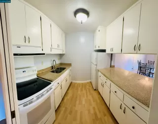 Photo #3: 41050505 Listing 