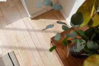 Photo #5: 41050561 Listing