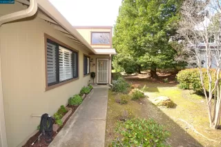 Photo #2: 41050766 Listing 