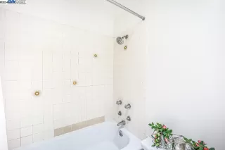 Photo #3: 41050838 Listing 