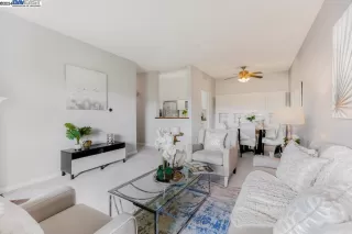 Photo #1: 41051255 Listing