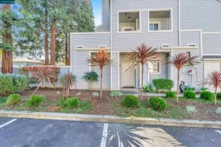 Photo #1: 41051294 Listing