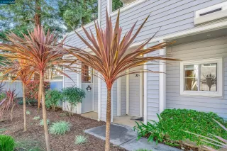 Photo #3: 41051294 Listing