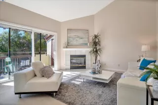 Photo #1: 41051356 Listing 