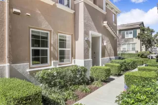 Photo #1: 41051452 Listing