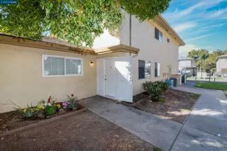 Photo #1: 41051503 Listing