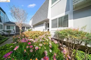 Photo #1: 41051526 Listing