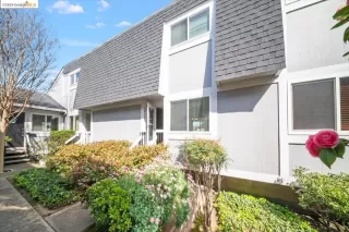 Photo #2: 41051526 Listing