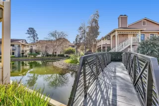 Photo #2: 41051535 Listing