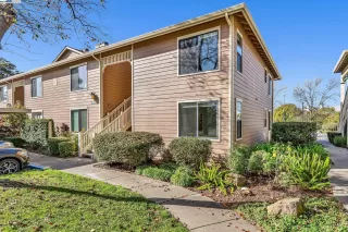 Photo #3: 41051535 Listing