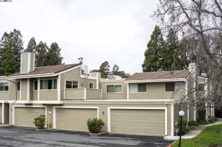 Photo #1: 41051958 Listing