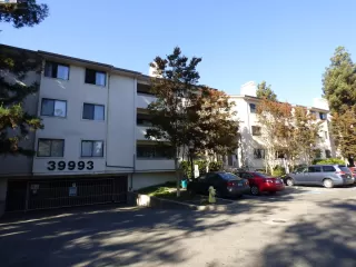 More Details about MLS # 41052036 : 39993 FREMONT BLVD # 305