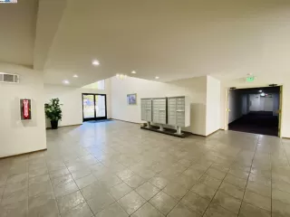 Photo #2: 41052036 Listing 