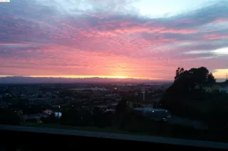 More Details about MLS # 41052277 : 2505 MIRAMAR AVE # 137