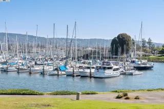 Photo #6: 41052438 Listing