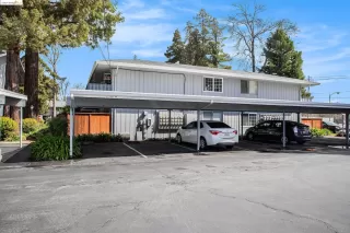 Photo #1: 41052612 Listing 