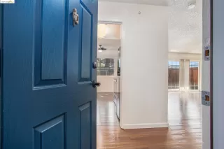 Photo #4: 41052612 Listing 