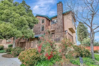 Photo #1: 41052632 Listing